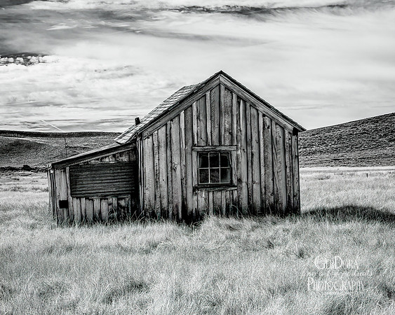 Lonely Shack