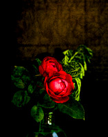Old Fashioned 8x10