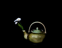 Daisies in Korean Green Celadon Teapot 8x10 (0) SOLD 6/20 & 11x14 (0)