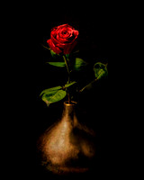 Single Red Rose in Gold Vase