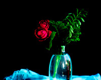 Two Red Roses in Blue Glass Vase