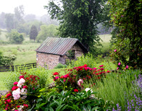 Giverny in Loudoun 8x10 (1) & 11x14 (1)