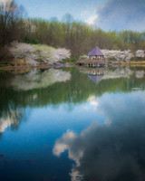 Cherry Blossoms in the Park  8x10 (1) & 11x14 (1)