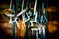 Bridles 8x10 (2) & 11x14 (0)