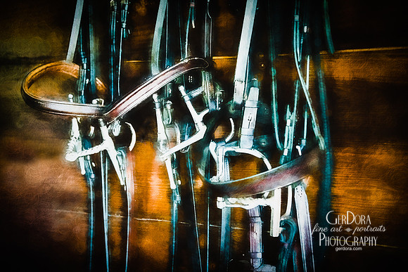 Bridles 8x10 (2) & 11x14 (0)