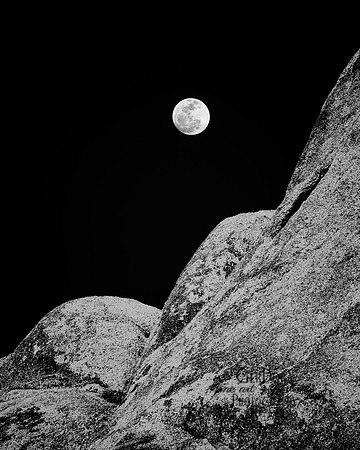 Desert Moon