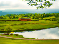 Longbranch Farm Pastoral Scene