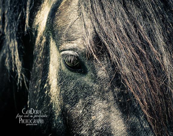 Faded Black (Metallic) 8x10 (0) & 11x14 (1)