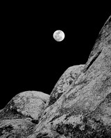 Desert Moon