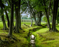 Upperville Repose