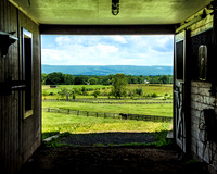Looking Out From the Inside