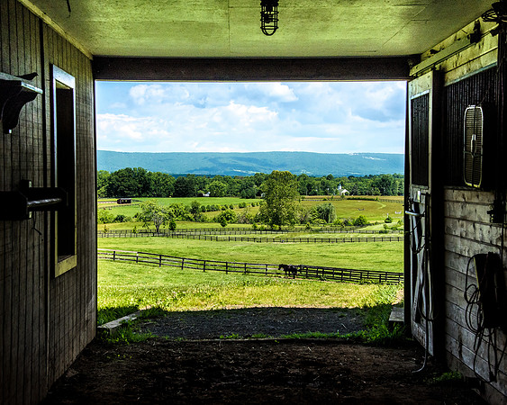 Looking Out From the Inside