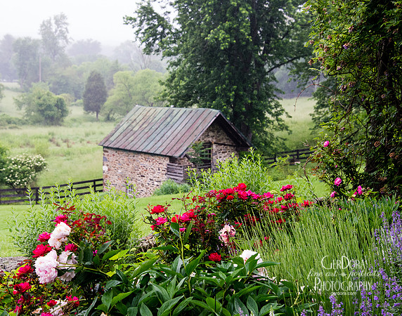 Giverny in Loudoun ~ "Best in Loudoun" Waterford Fair 2017