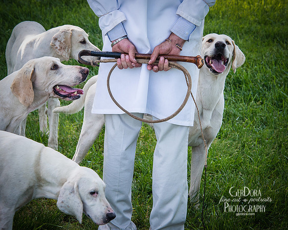 Hounds 8x10 (1) & 11x14 (0)