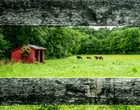 Through the Fence