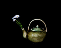 Flowers-4