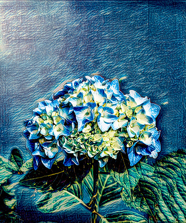 Flowers-9