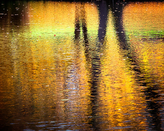 September - Autumn Reflecting