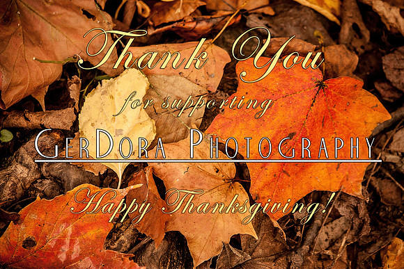 Thanksgiving 2015