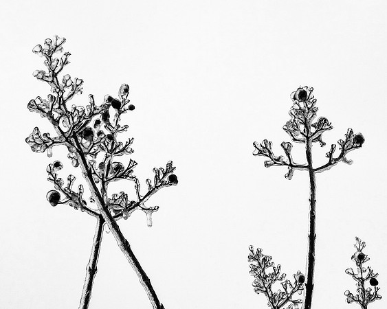 December - Cool Ice