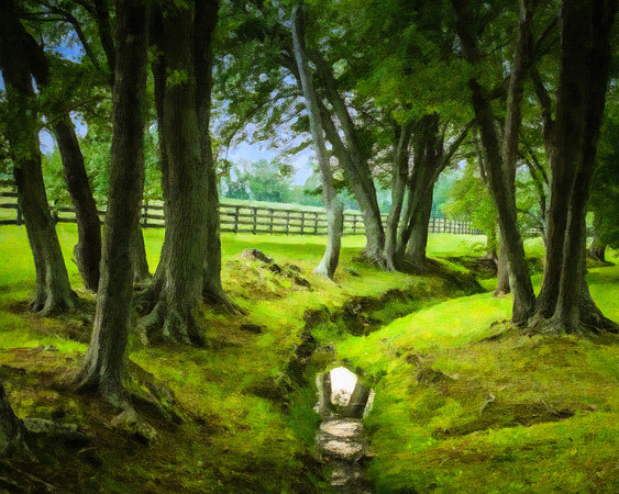 August - Upperville Repose