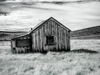 Lonely Shack