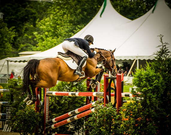May - Upperville Jumper