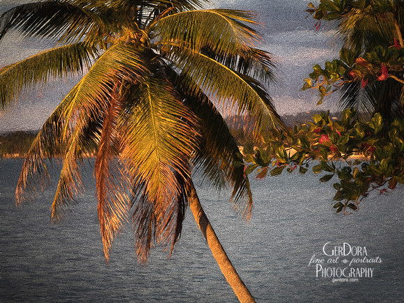Palm Tree Study #17