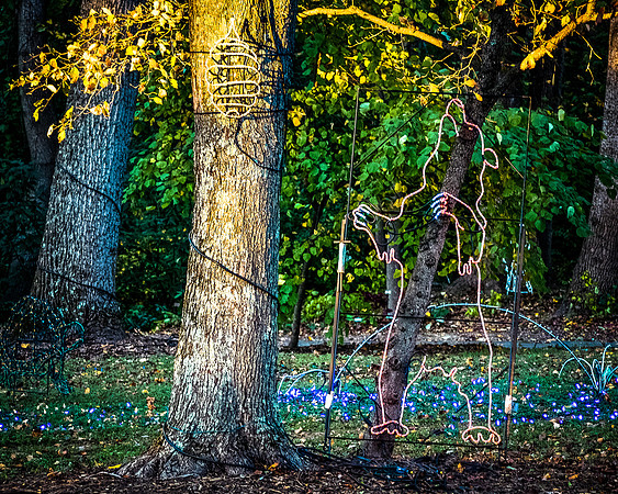 12 December - Holidays in the Park - Vienna