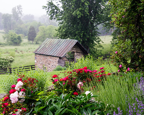 5 May - Giverny in Loudoun