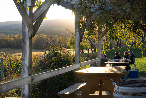 11 November - Loudoun Wine Country