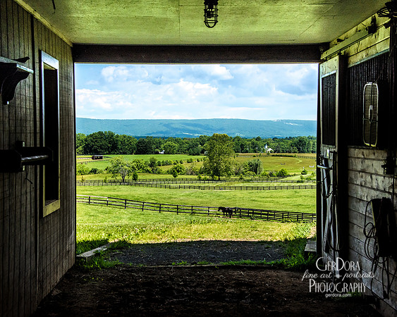 Looking Out From the Inside