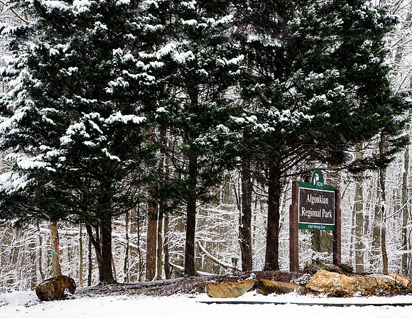 1 January - Algonkian Regional Park, Sterling