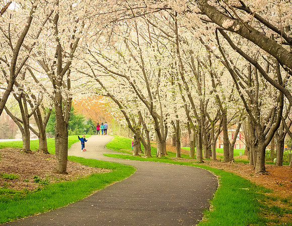 3 March - Wiehle Avenue, Reston