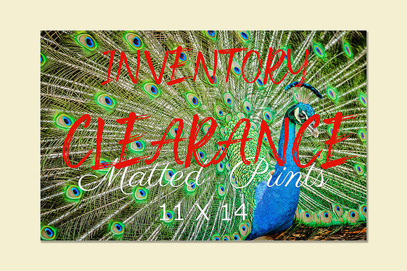 Inventory Clearance Matted Prints Cover Thumbnail 11x14 with beige mat copy