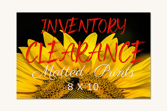 Inventory Clearance Matted Prints Cover Thumbnail 8 X 10 copy
