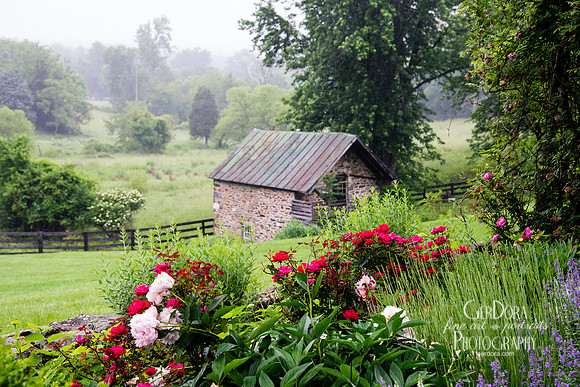 Giverny in Loudoun ~ "Best in Loudoun" Waterford Fair 2017