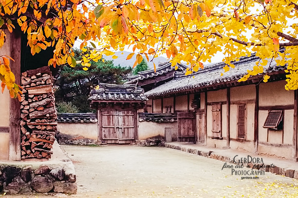 Autumn in the Countryside