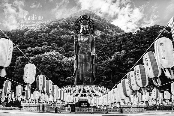Buddha's Birthday