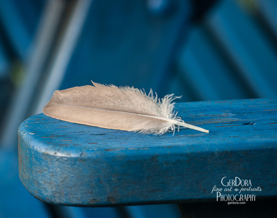 Pluma en Azul