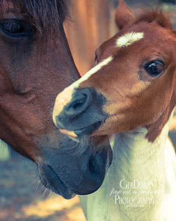 Mother and Child