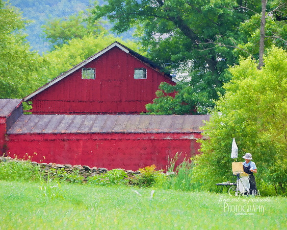 Plein Air Painter