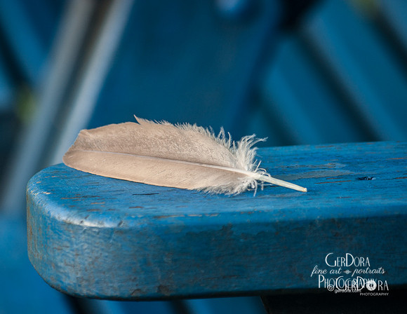 Pluma en Azul