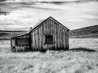 Lonely Shack