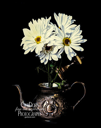 Daisies in Moroccan Teapot