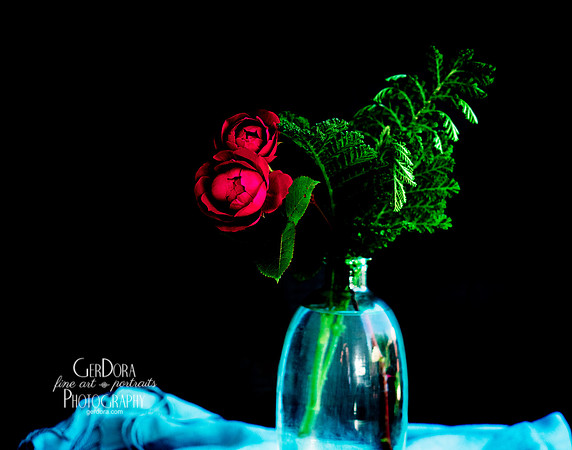Two Red Roses in Blue Glass Vase