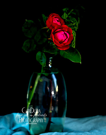 Red Roses in Glass Vase