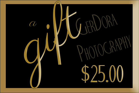 25.00 gift cert