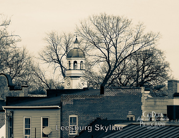 January - Leesburg Skyline