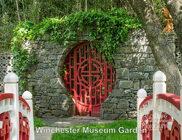 May - Winchester Museum Garden
